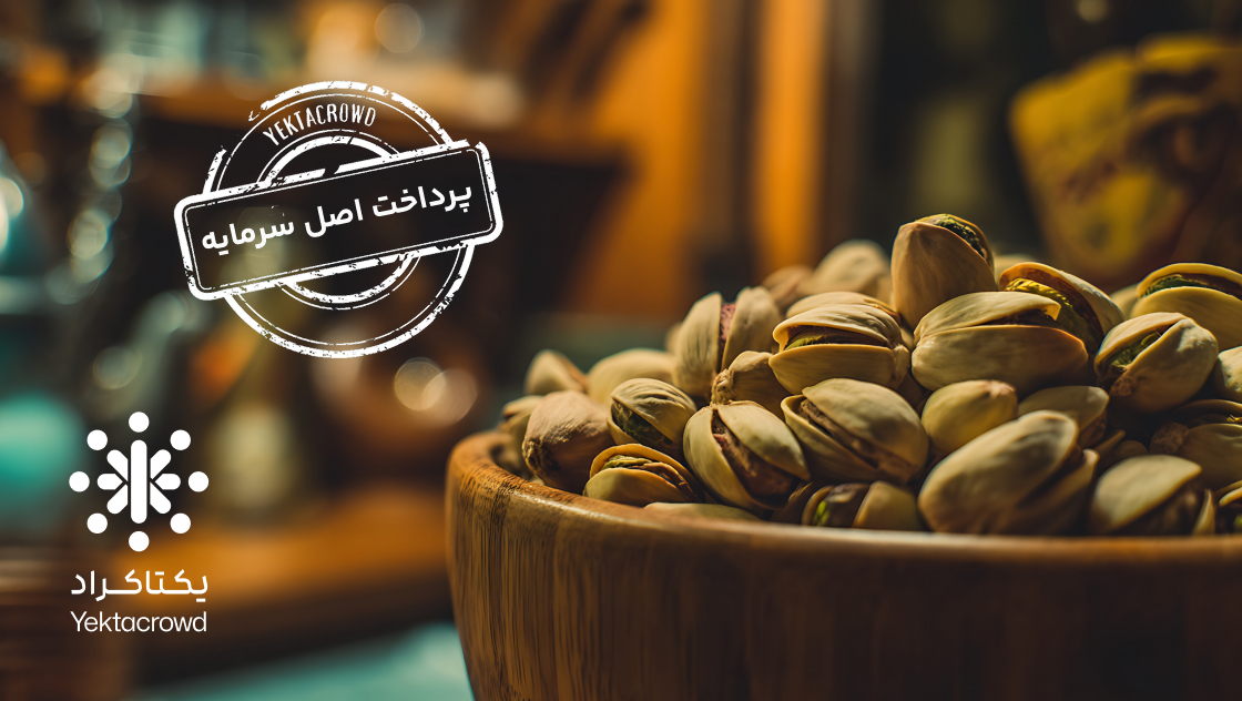 تأمین سرمایه در گردش عرضه پسته تولیدی با روش نوین کشاورزی پایدار