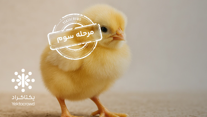 تأمین سرمایه در گردش جهت پرورش و عرضه جوجه یک روزه نژاد آرین